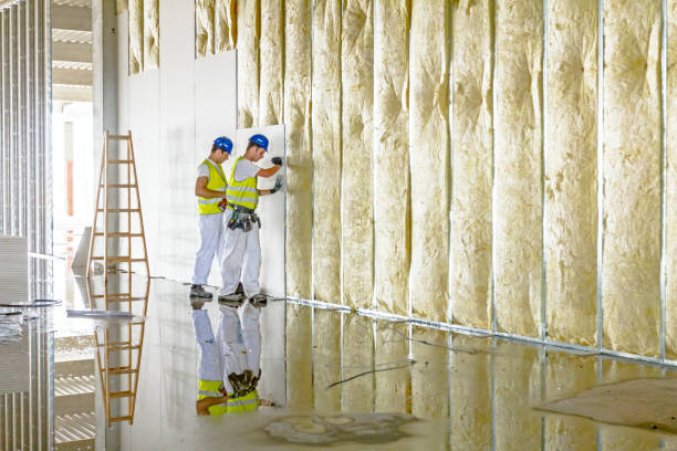Best Eco-Friendly Insulation in Caribou, ME